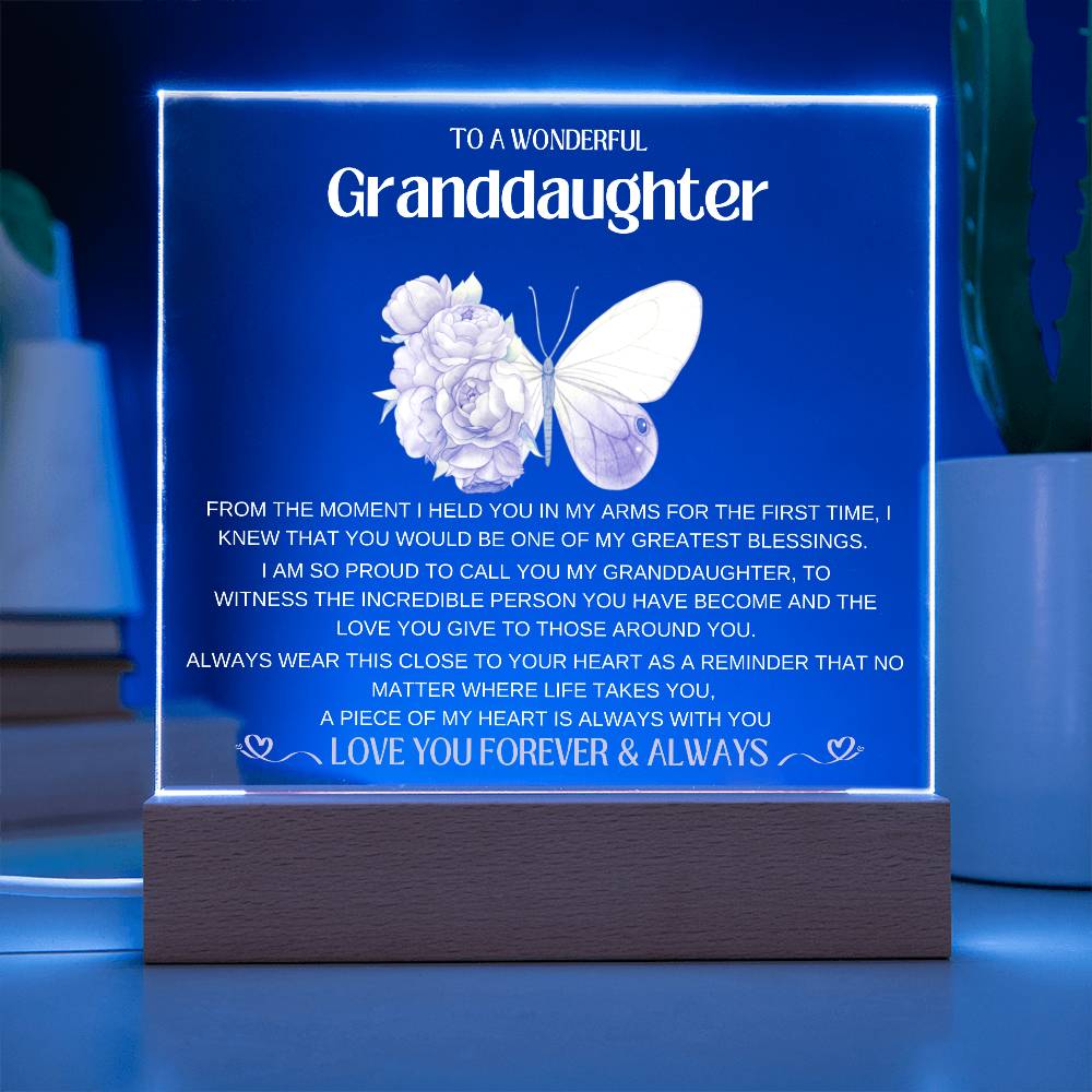 To My Wonderful Granddaughter | Greatest Blessing | Acrylic Light